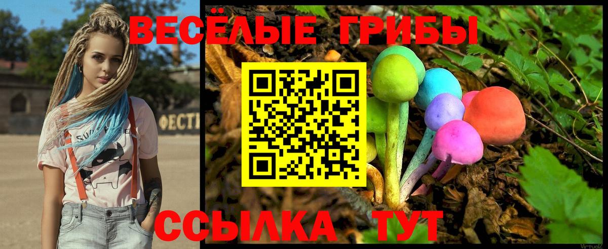 Алушта  Псилоцибиновые грибы Psilocybe  Вход с VPN 